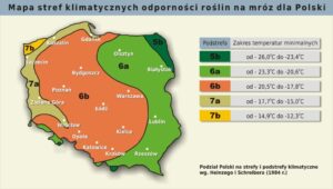 strefy mrozoodporności w Polsce 